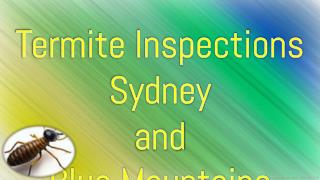 Termite Inspections Sydney and Blue Mountains