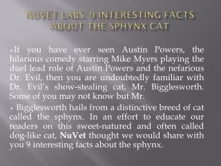 NuVet Labs: 9 Interesting Facts About the Sphynx Cat