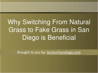 Why Switching From Natural Grass to Fake Grass in San Diego is Beneficial