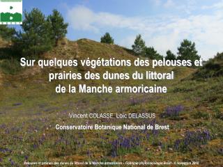 Sur quelques végétations des pelouses et prairies des dunes du littoral de la Manche armoricaine