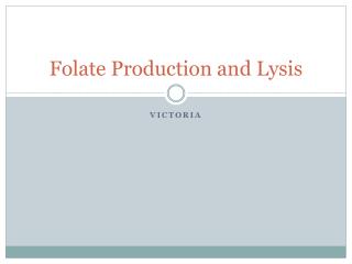 Folate Production and Lysis