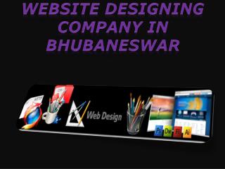 website designing company in Bhubaneswar