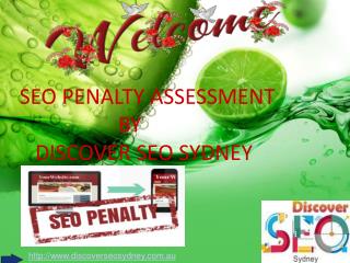 SEO Penalty Assessment Sydney