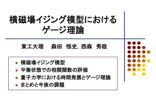 横磁場イジング模型におけるゲージ理論