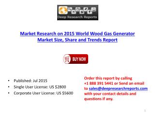 Global Wood Gas Generator Market Size, Share and Trends Report 2015