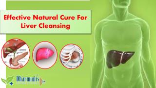 Effective Natural Cure For Liver Cleansing