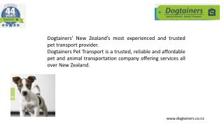 International Pet Transport Service