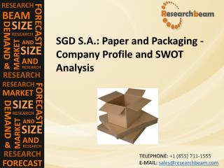 SGD S.A.: Paper and Packaging - Company Profile and SWOT Analysis