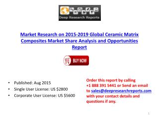 Global Ceramic Matrix Composites Market Price Analysis and 2020 Forecast Report