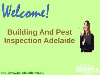 Building And Pest Inspection Adelaide