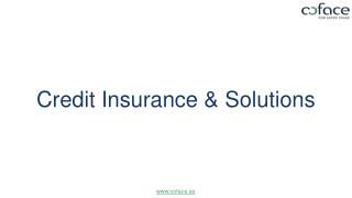 Credit Insurance and Solutions