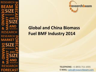 Global and China Biomass Fuel BMF Market (Industry) 2014 – capacity, Share, production, Growth, Trends