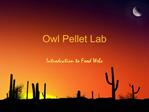 Owl Pellet Lab