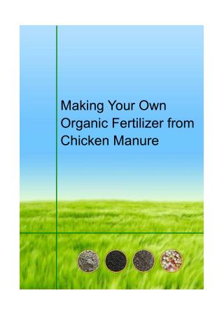 Making Your Own Organic Fertilizer from Chicken Manure