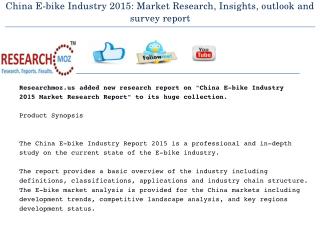 China E-bike Industry 2015: Market Research, Insights, outlook and survey report