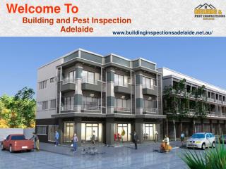 Building And Pest Inspection Adelaide