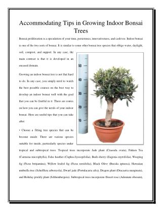 Accommodating tips in growing indoor bonsaitrees