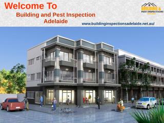 Building And Pest Inspection Adelaide