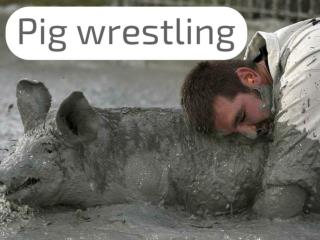 Pig wrestling