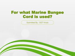 marine bungee cord