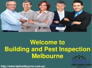 Building and Pest Inspection