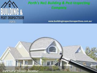 Building and Pest Inspection Perth