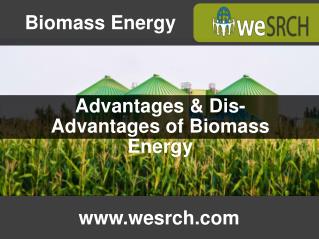 Advantages & Dis-Advantages of Biomass Energy