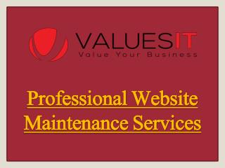 Professional Website Maintenance Services