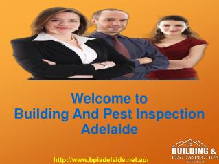 Adelaide Building And Pest Inspection