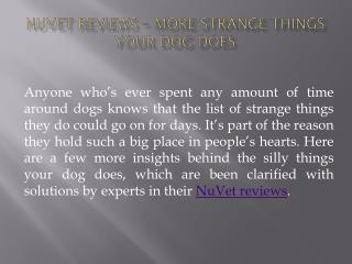 NuVet Reviews – More Strange Things Your Dog Does