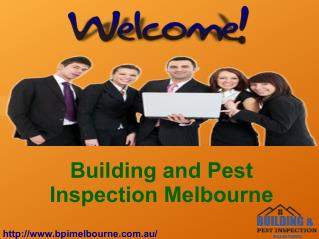 Pest Inspection Melbourne in Melbourne