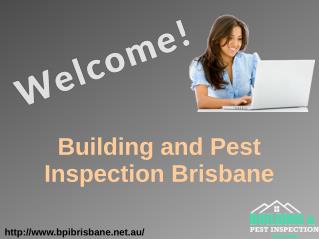 Brisbane Building Inspection and Pest Control Services