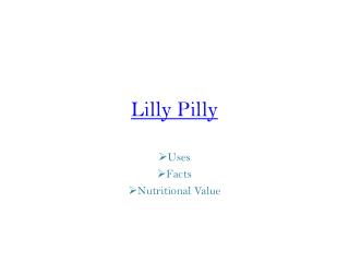 buy plants online_Lilly_pilly