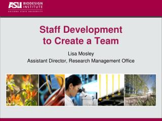 Staff Development to Create a Team