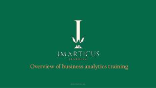 Overview of business analytics training
