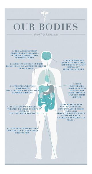 8 Interesting Facts About Our Bodies