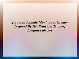 Jose Luis Acanda Montano