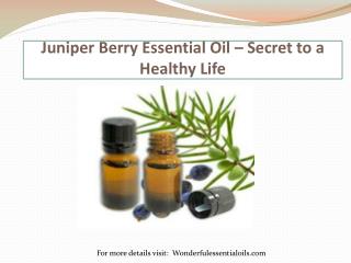 Juniper Berry Essential Oil – Secret to a Healthy Life