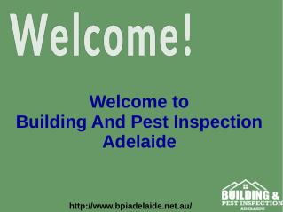 Adelaide Pest And Building Inspection