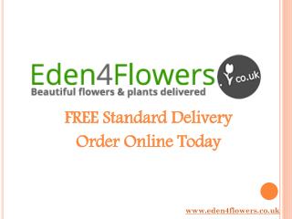 Flowers Online Delivery - Eden4Flowers
