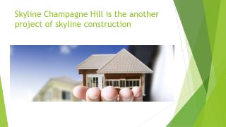 skyline construction