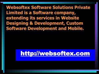 Website Designing, Web Development, MLM Software, HR Payroll Software, Chit Fund Software, Micro Finance Software