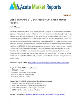 Global and China BTG SCR Industry 2014 Acute Market Reports