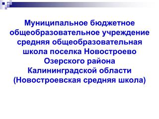 04_2014_МБОУ СОШ п.Новостроево