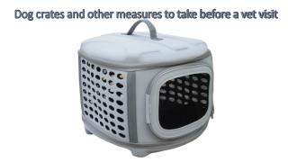 Dog crates and other measures to take before a vet visit