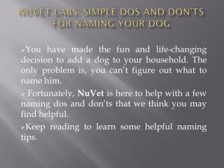 NuVet Labs: Simple Dos and Don’ts for Naming Your Dog