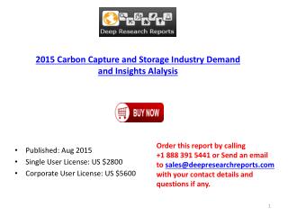 Carbon Capture and Storage Market Research Report 2015