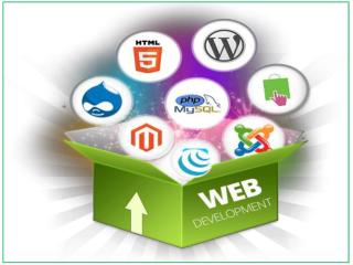 Vertex Plus-Web Development Services