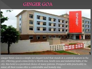 Ginger Goa