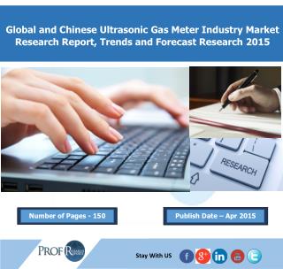 Ultrasonic Gas Meter Industry, 2015